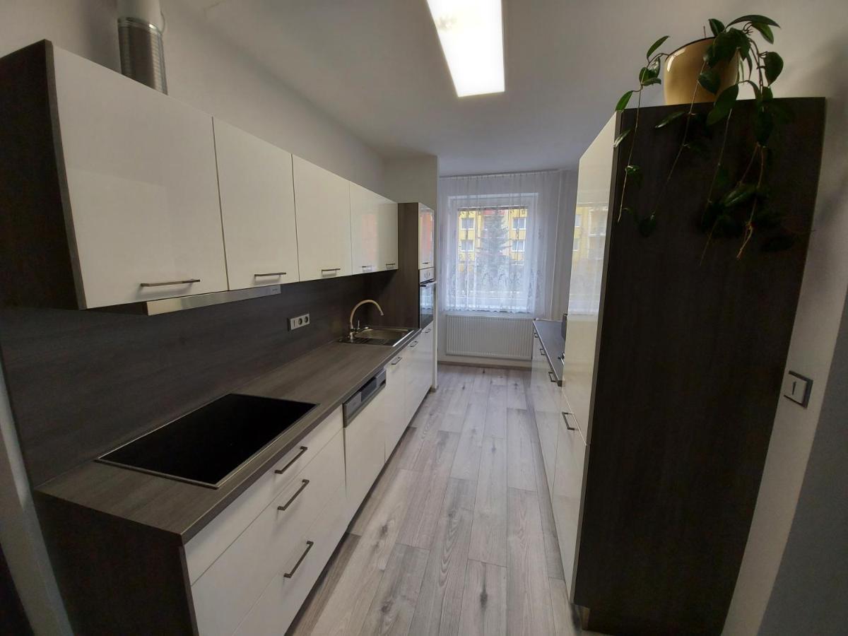Apartman Eva - Plne Vybaveny Byt - Týn nad Vltavou エクステリア 写真