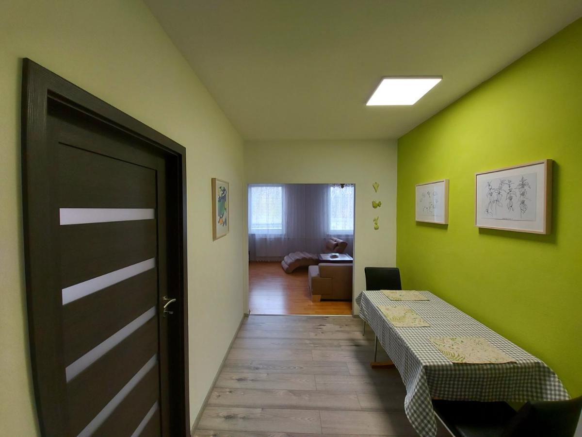 Apartman Eva - Plne Vybaveny Byt - Týn nad Vltavou エクステリア 写真
